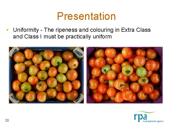 Presentation • Uniformity - The ripeness and colouring in Extra Class and Class I