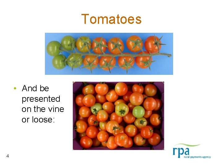 Tomatoes • And be presented on the vine or loose: 4 