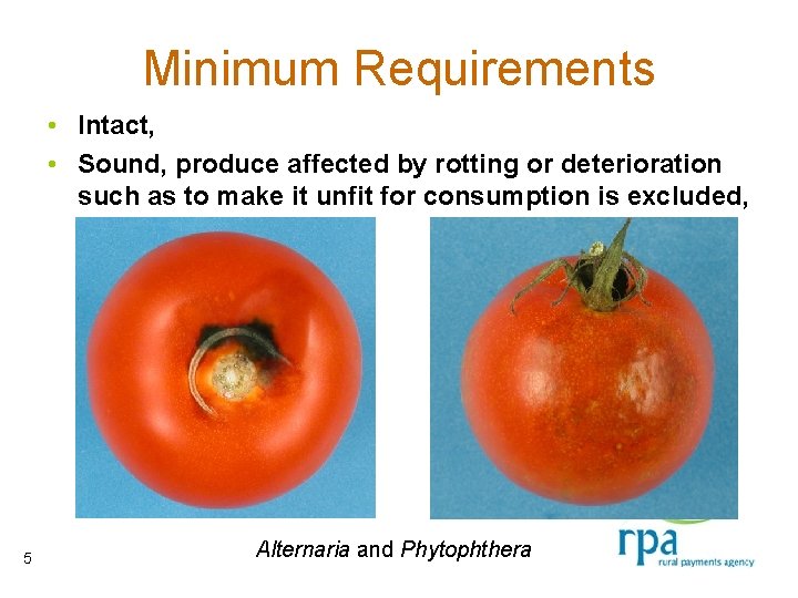 Minimum Requirements • Intact, • Sound, produce affected by rotting or deterioration such as