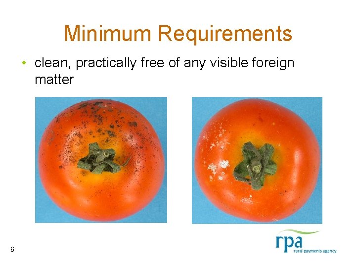 Minimum Requirements • clean, practically free of any visible foreign matter 6 