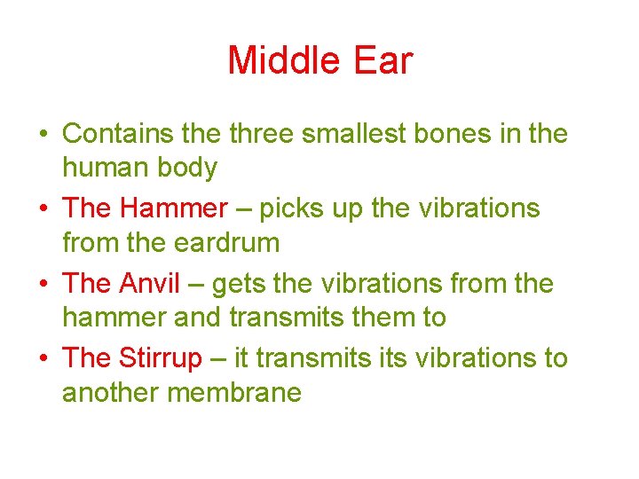 Middle Ear • Contains the three smallest bones in the human body • The Middle Ear • Contains the three smallest bones in the human body • The