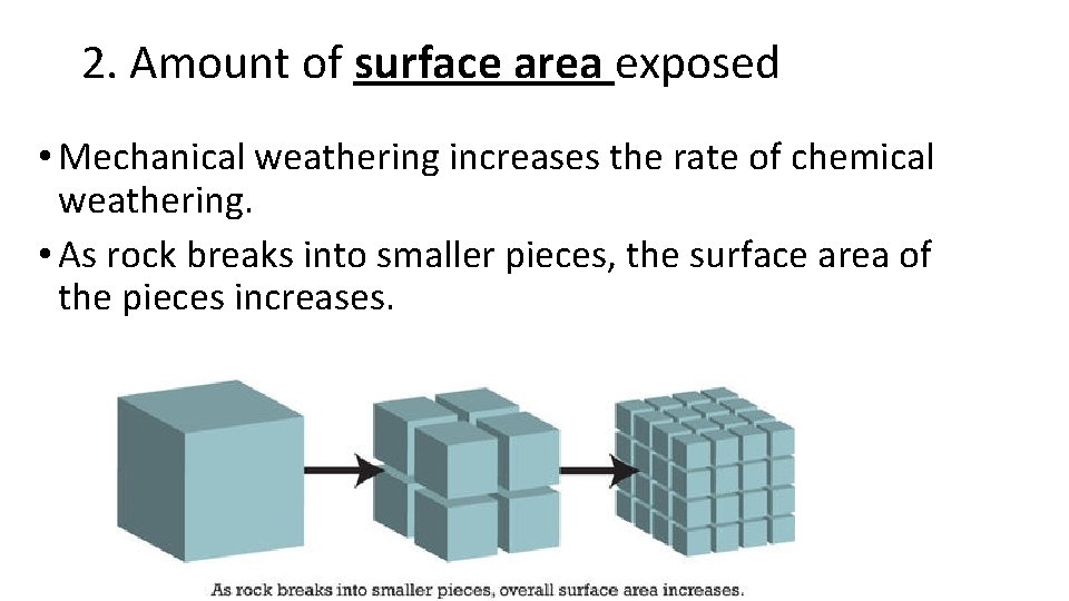 2. Amount of surface area exposed • Mechanical weathering increases the rate of chemical