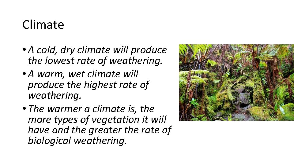 Climate • A cold, dry climate will produce the lowest rate of weathering. •