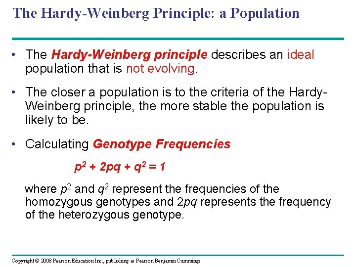 The Hardy-Weinberg Principle: a Population • The Hardy-Weinberg principle describes an ideal population that