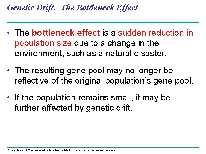 Genetic Drift: The Bottleneck Effect • The bottleneck effect is a sudden reduction in