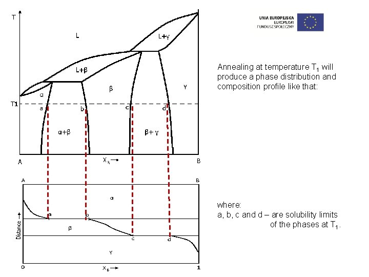 Annealing at temperature T 1 will produce a phase distribution and composition profile like