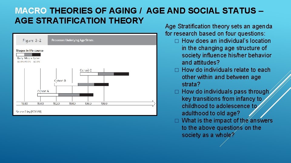 MACRO THEORIES OF AGING / AGE AND SOCIAL STATUS – AGE STRATIFICATION THEORY Age