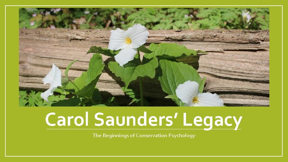 Carol Saunders’ Legacy The Beginnings of Conservation Psychology 