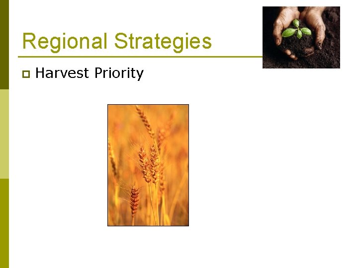 Regional Strategies p Harvest Priority 