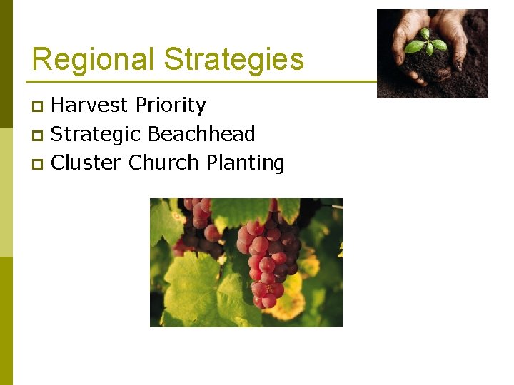 Regional Strategies Harvest Priority p Strategic Beachhead p Cluster Church Planting p 