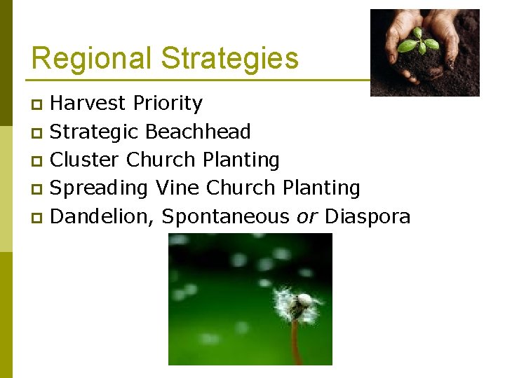 Regional Strategies Harvest Priority p Strategic Beachhead p Cluster Church Planting p Spreading Vine
