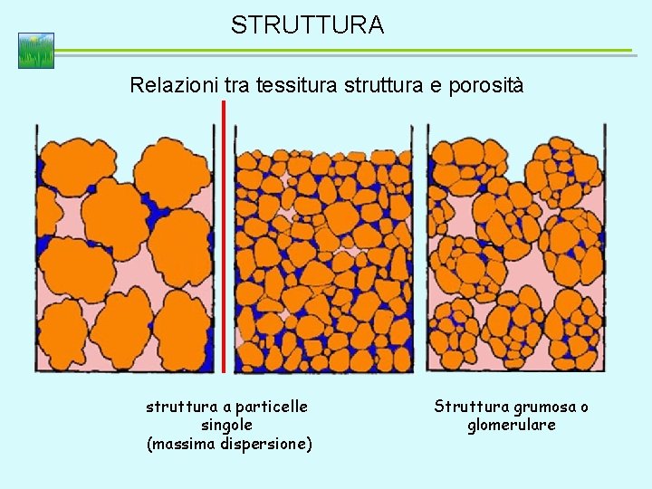 STRUTTURA Relazioni tra tessitura struttura e porosità struttura a particelle singole (massima dispersione) Struttura