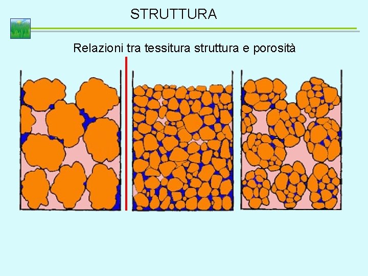 STRUTTURA Relazioni tra tessitura struttura e porosità 