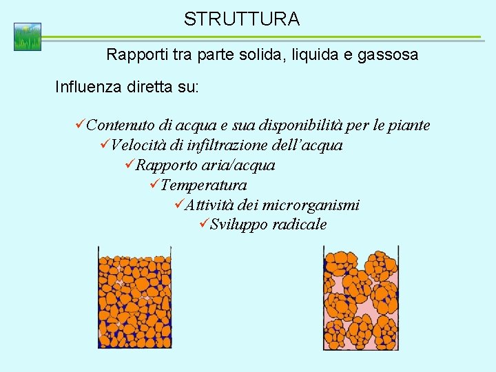 STRUTTURA Rapporti tra parte solida, liquida e gassosa Influenza diretta su: üContenuto di acqua