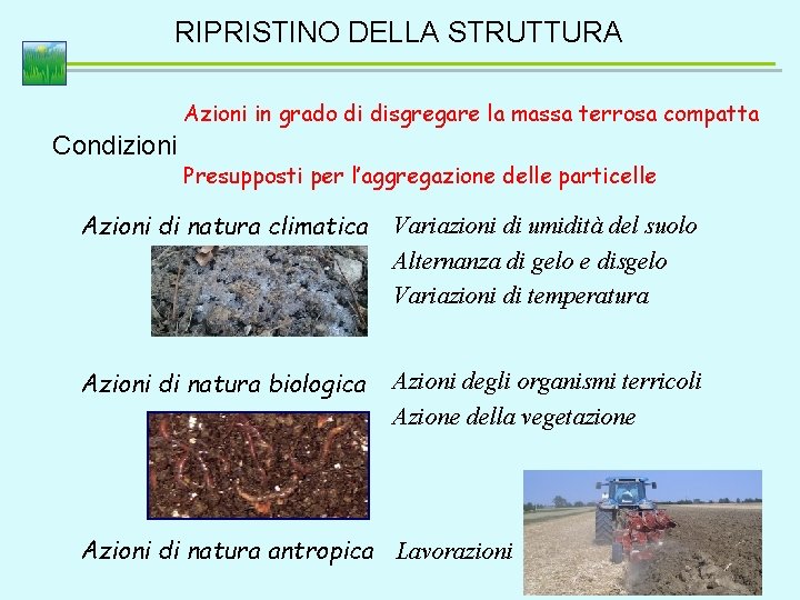 RIPRISTINO DELLA STRUTTURA Azioni in grado di disgregare la massa terrosa compatta Condizioni Presupposti