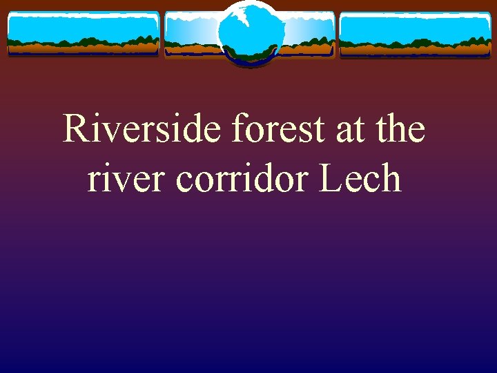 Riverside forest at the river corridor Lech 