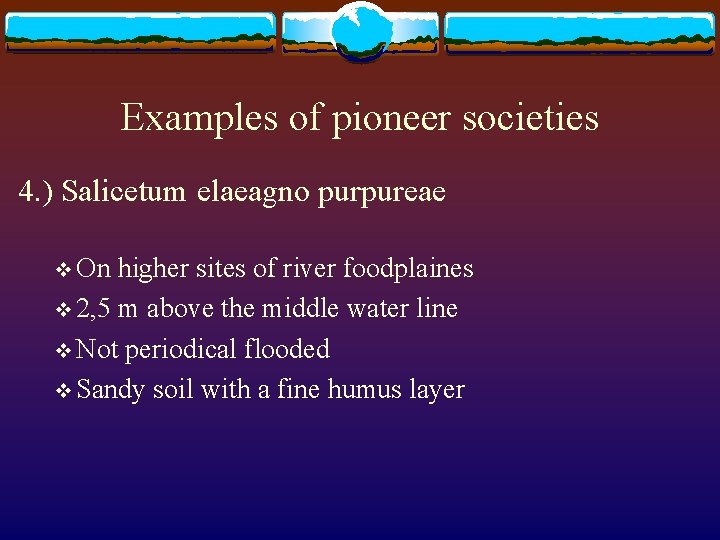 Examples of pioneer societies 4. ) Salicetum elaeagno purpureae v On higher sites of