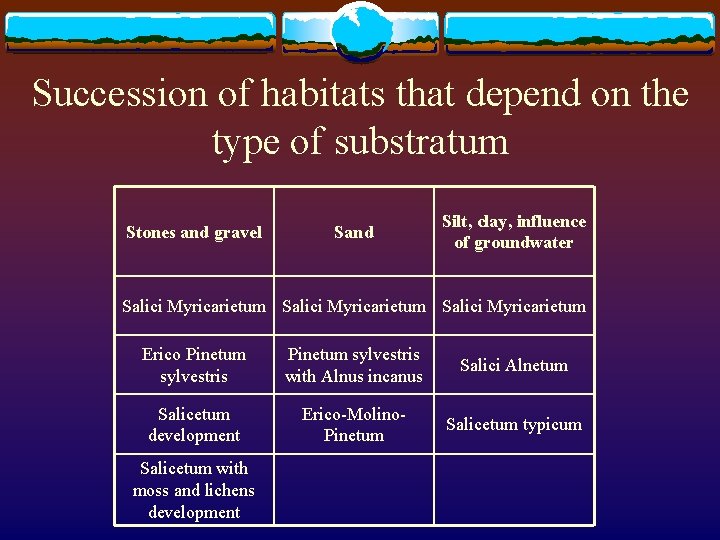 Succession of habitats that depend on the type of substratum Stones and gravel Sand