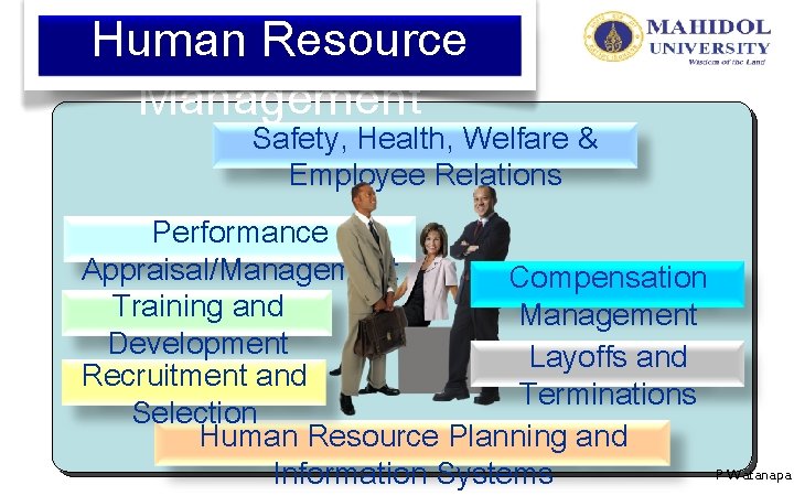 Human Resource Management Safety, Health, Welfare & Employee Relations Performance Appraisal/Management Compensation Training and