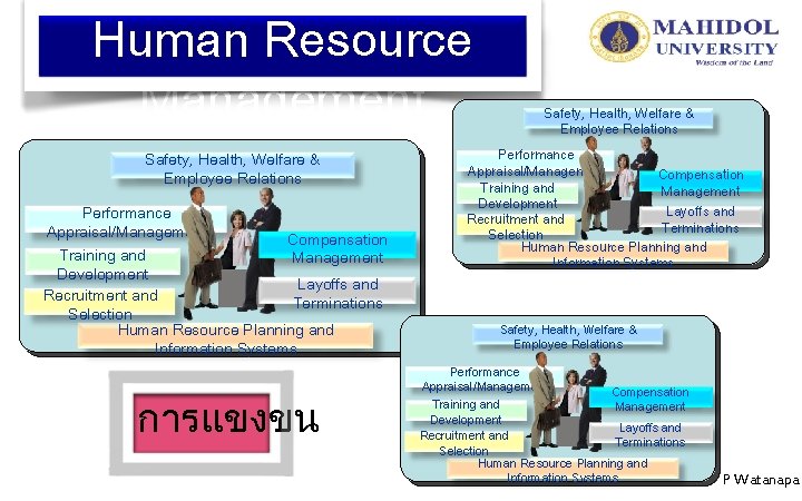 Human Resource Management Safety, Health, Welfare & Employee Relations Performance Appraisal/Management Compensation Management Training