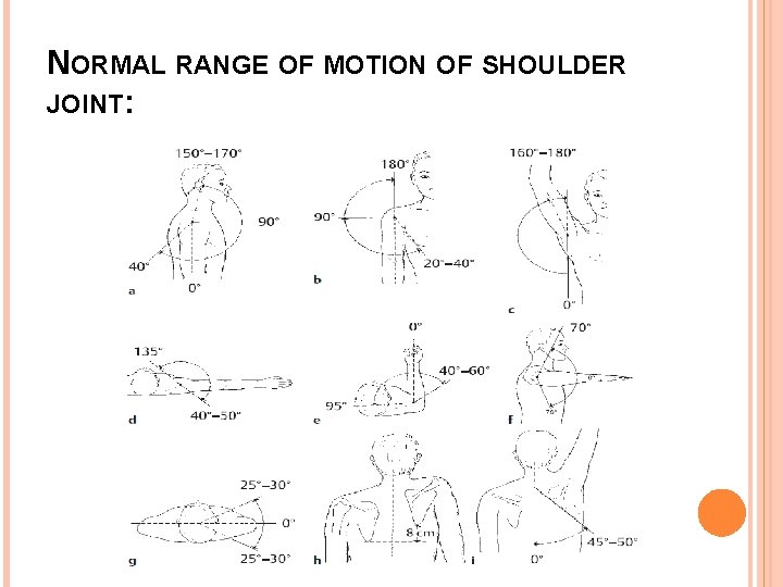 NORMAL RANGE OF MOTION OF SHOULDER JOINT: 