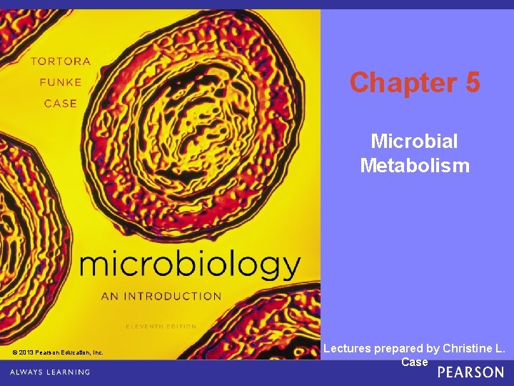 Chapter 5 Microbial Metabolism © 2013 Pearson Education, Inc. Copyright © 2013 Pearson Education,