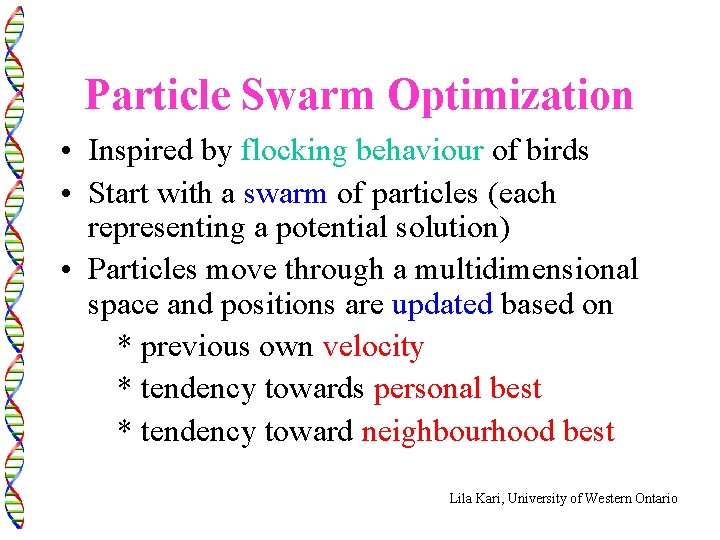 Particle Swarm Optimization • Inspired by flocking behaviour of birds • Start with a