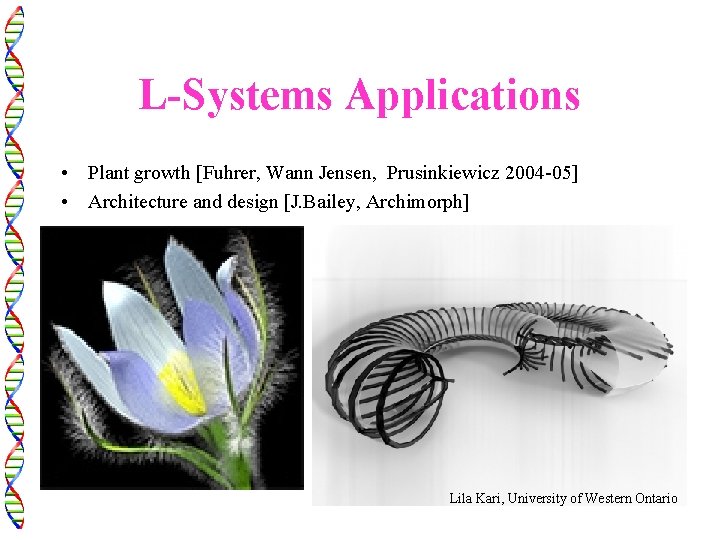 L-Systems Applications • Plant growth [Fuhrer, Wann Jensen, Prusinkiewicz 2004 -05] • Architecture and