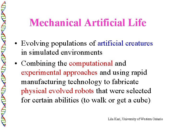 Mechanical Artificial Life • Evolving populations of artificial creatures in simulated environments • Combining