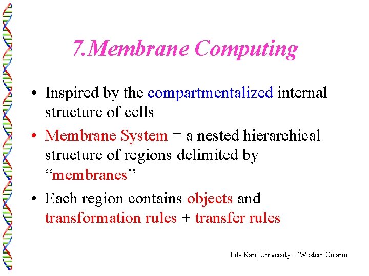 7. Membrane Computing • Inspired by the compartmentalized internal structure of cells • Membrane