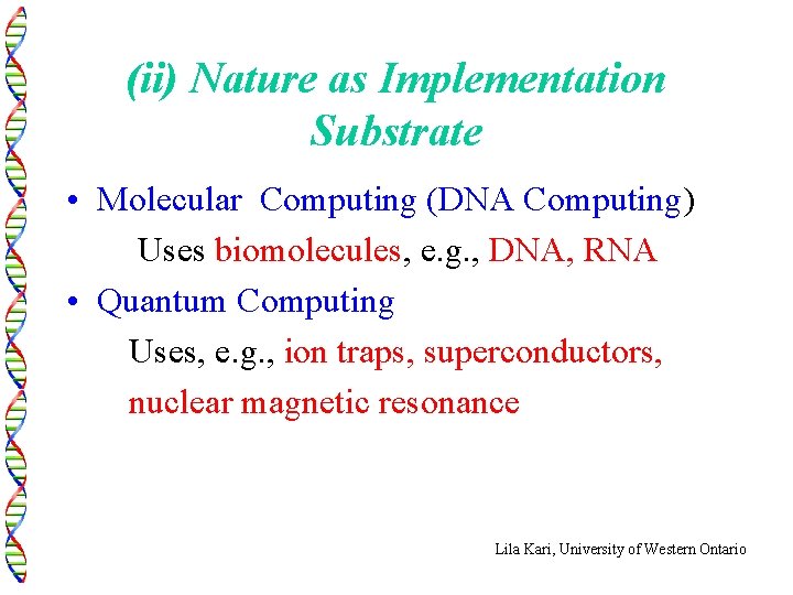 (ii) Nature as Implementation Substrate • Molecular Computing (DNA Computing) Uses biomolecules, e. g.