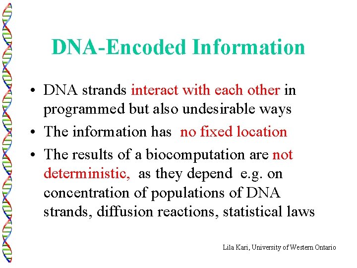 DNA-Encoded Information • DNA strands interact with each other in programmed but also undesirable