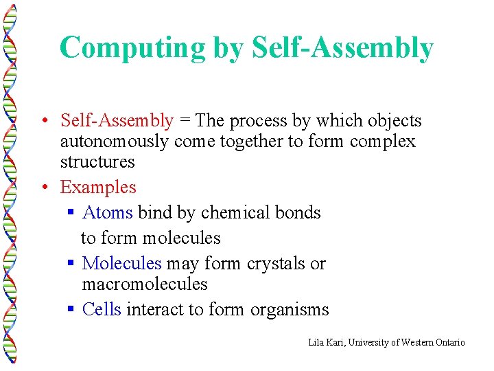 Computing by Self-Assembly • Self-Assembly = The process by which objects autonomously come together