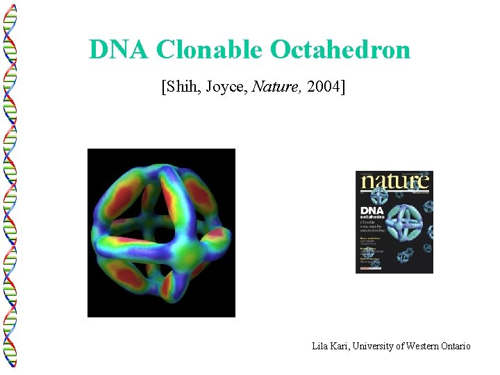 DNA Clonable Octahedron [Shih, Joyce, Nature, 2004] Lila Kari, University of Western Ontario 