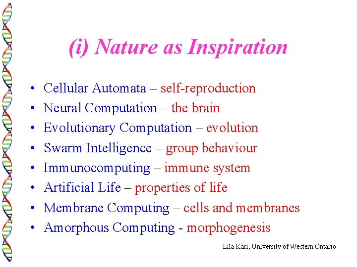 (i) Nature as Inspiration • • Cellular Automata – self-reproduction Neural Computation – the