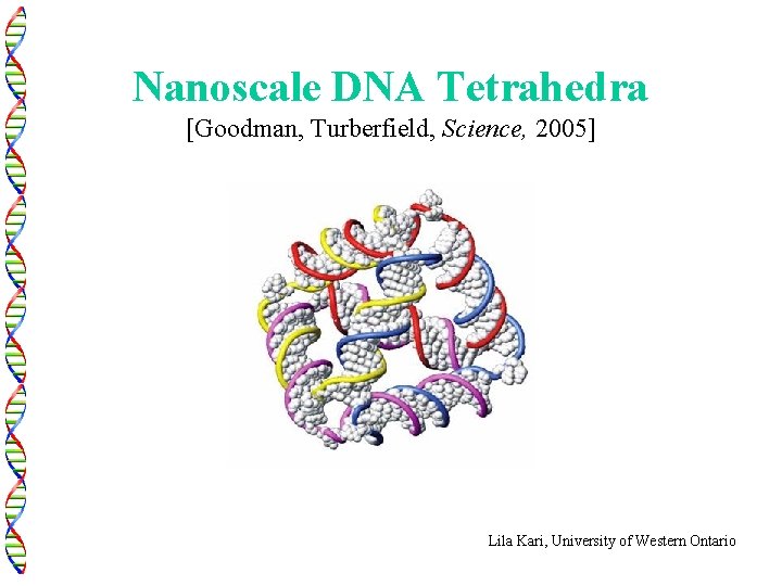 Nanoscale DNA Tetrahedra [Goodman, Turberfield, Science, 2005] Lila Kari, University of Western Ontario 