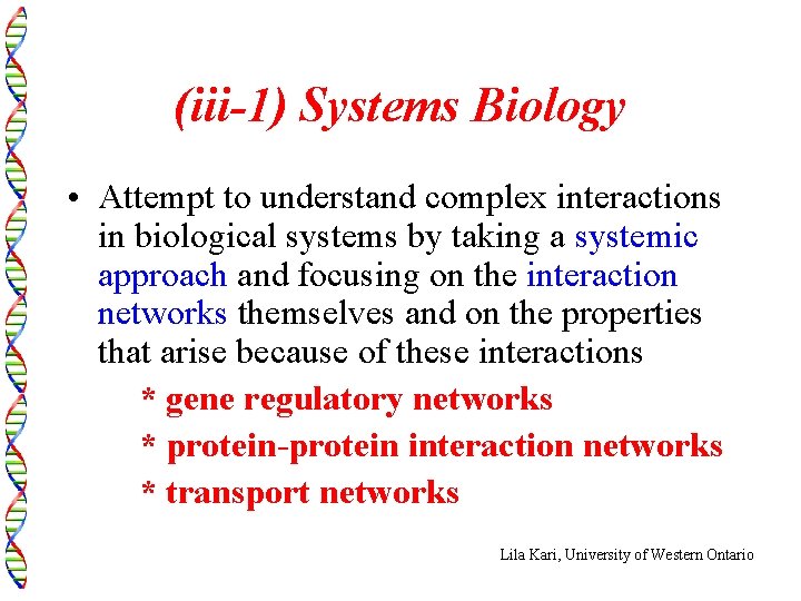 (iii-1) Systems Biology • Attempt to understand complex interactions in biological systems by taking