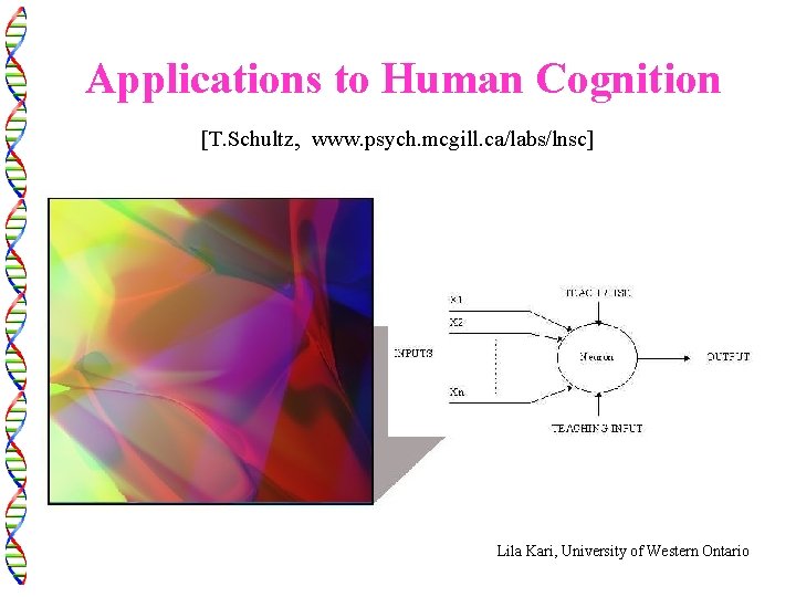 Applications to Human Cognition [T. Schultz, www. psych. mcgill. ca/labs/lnsc] Lila Kari, University of