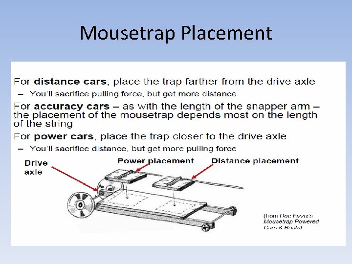 Mousetrap Placement 