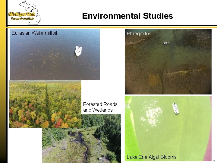 Environmental Studies Eurasian Watermilfoil Phragmites Forested Roads and Wetlands Lake Erie Algal Blooms 4