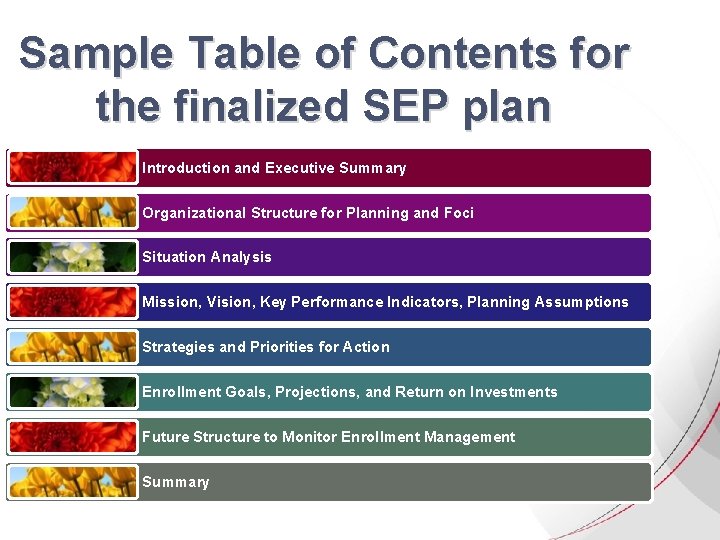 Sample Table of Contents for the finalized SEP plan Introduction and Executive Summary Organizational Sample Table of Contents for the finalized SEP plan Introduction and Executive Summary Organizational