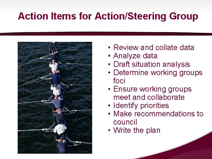 Action Items for Action/Steering Group • Review and collate data • Analyze data • Action Items for Action/Steering Group • Review and collate data • Analyze data •