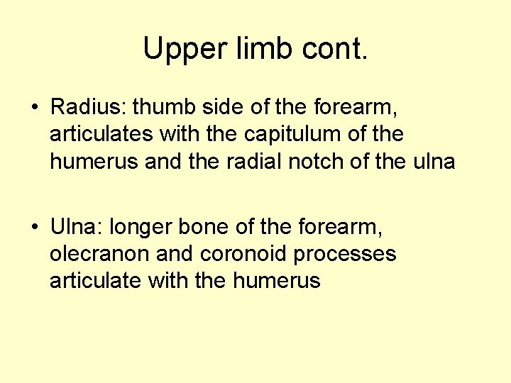 Upper limb cont. • Radius: thumb side of the forearm, articulates with the capitulum