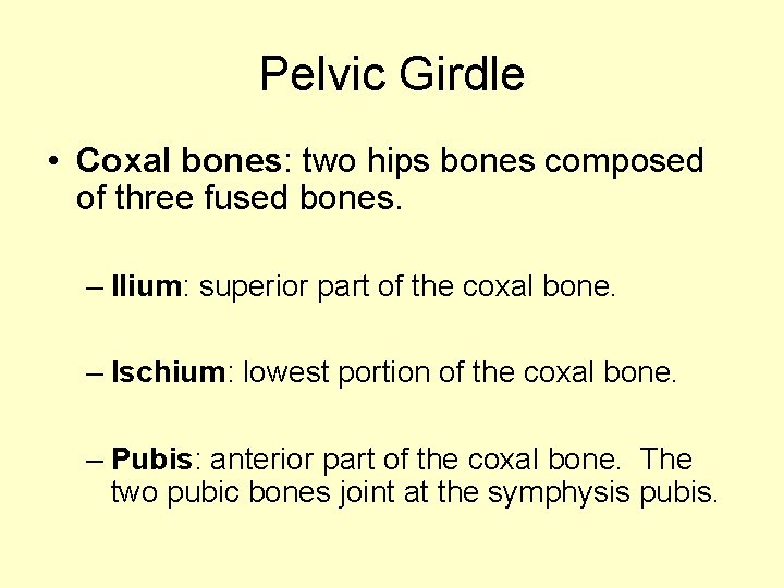 Pelvic Girdle • Coxal bones: two hips bones composed of three fused bones. –