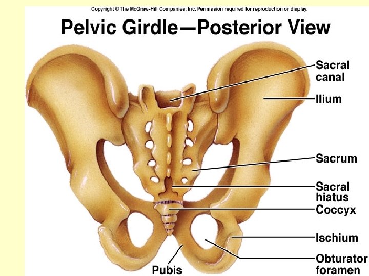 Figure 7. 49 