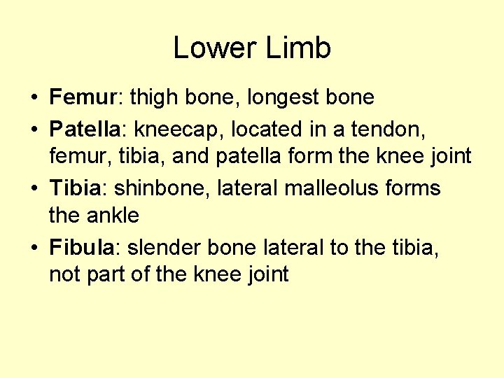 Lower Limb • Femur: thigh bone, longest bone • Patella: kneecap, located in a