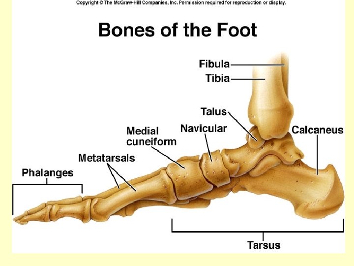 Figure 7. 55 