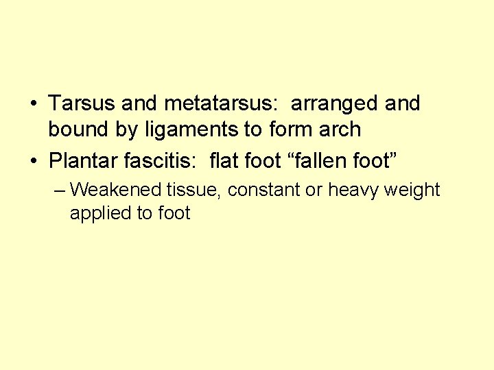  • Tarsus and metatarsus: arranged and bound by ligaments to form arch •