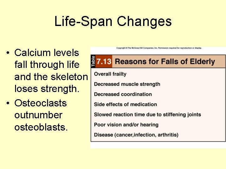 Life-Span Changes • Calcium levels fall through life and the skeleton loses strength. •