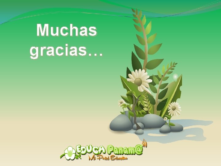 Muchas gracias… 